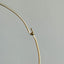Wire Neck Collar