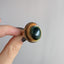 Shell Ring From The Black Lagoon