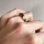 Gold Plane Signet Ring