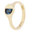 Skylight Ring