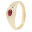 Ruby Slip Ring