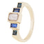 Steppe Ring No. 51