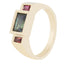 Steppe Ring No. 58