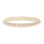 Saturn Ring