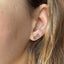 Firn Earrings