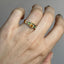 Steppe Ring No. 46