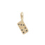 Domino Charm