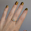 Steppe Ring No. 40