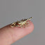 Scorpion Charm