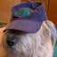 Aster Hat (preorder)