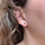 Red Portal Studs