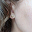 Gold Shasta Studs