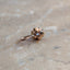 Rose gold charm with a central gemstone on a marble surface