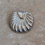 Scallop Brooch