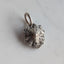 Mount Hood Charm
