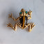 Frog Brooch