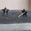 Silver Star Studs