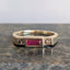 Steppe Ring No. 66