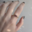 Steppe Ring No. 66