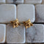 Gold Cat Studs