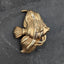 Angelfish Brooch
