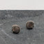 Silver Scallop Shell Studs