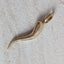 XL Cornicello Charm