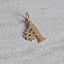 Number 1 Charm