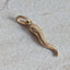 Cornicello Charm