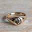 Leo Cape Signet