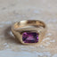 Phlox Cape Signet