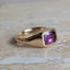 Phlox Cape Signet