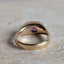 Phlox Cape Signet
