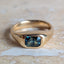 Striped Cape Signet