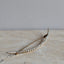 Victorian Crescent Pin