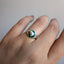 Petite Mount Rainier Sky Island Inlay Signet