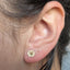 Gold Shasta Studs