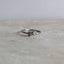 Sugar Babe Ring (18k Palladium White Gold)