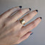 Well Worn Signet