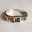 Steppe Ring No. 74