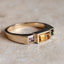 Steppe Ring No. 73