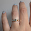 Steppe Ring No. 74