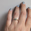 Steppe Ring No. 74