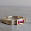 Steppe Ring No. 66