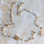 Pearl Baton Chain