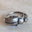 Pinacate Beetle Ring