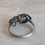 Pinacate Beetle Ring
