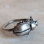 Pinacate Beetle Ring