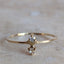 Sloane Ring