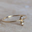 Sloane Ring